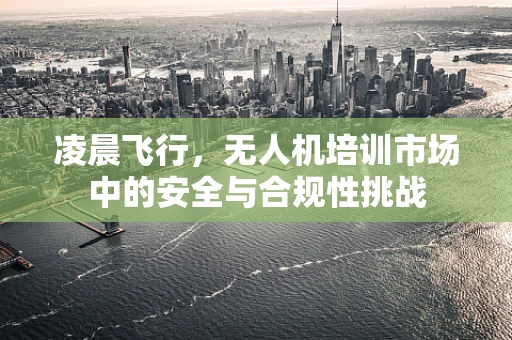 凌晨飞行，无人机培训市场中的安全与合规性挑战