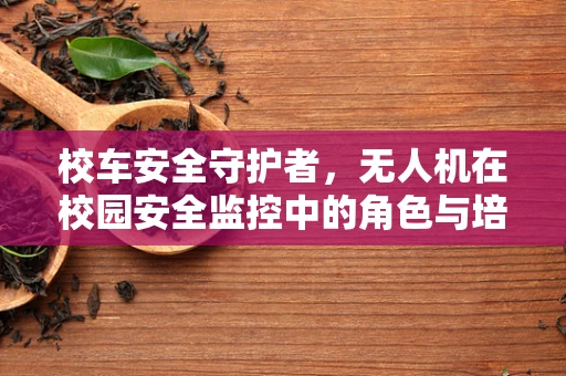 校车安全守护者，无人机在校园安全监控中的角色与培训需求