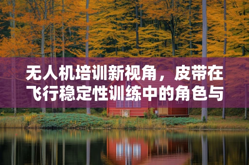 无人机培训新视角，皮带在飞行稳定性训练中的角色与挑战
