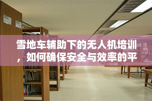 雪地车辅助下的无人机培训，如何确保安全与效率的平衡？