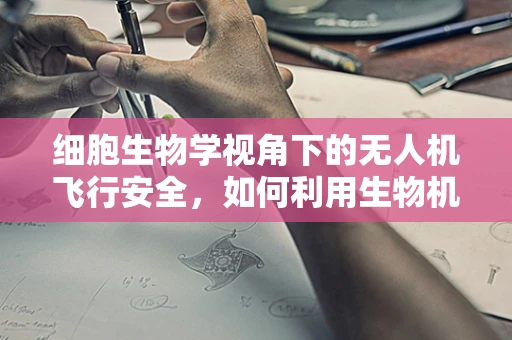 细胞生物学视角下的无人机飞行安全，如何利用生物机制提升培训效果？