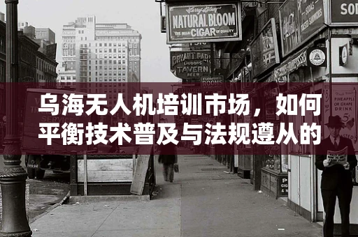 乌海无人机培训市场，如何平衡技术普及与法规遵从的挑战？