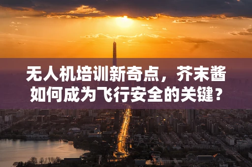 无人机培训新奇点，芥末酱如何成为飞行安全的关键？