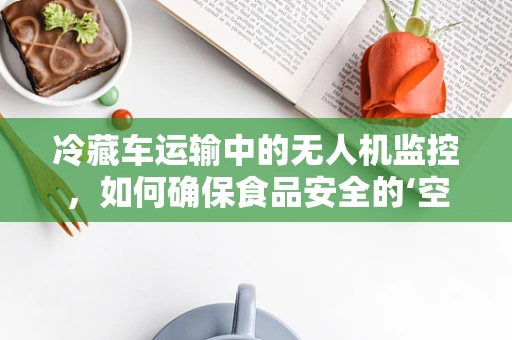 冷藏车运输中的无人机监控，如何确保食品安全的‘空中守望者’？