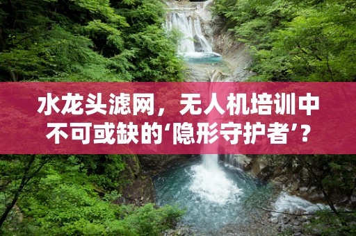 水龙头滤网，无人机培训中不可或缺的‘隐形守护者’？