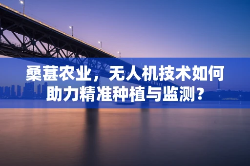 桑葚农业，无人机技术如何助力精准种植与监测？