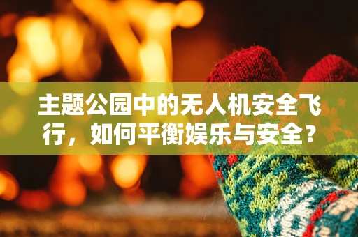 主题公园中的无人机安全飞行，如何平衡娱乐与安全？