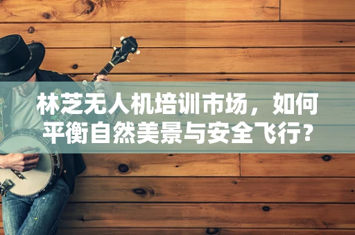 林芝无人机培训市场，如何平衡自然美景与安全飞行？