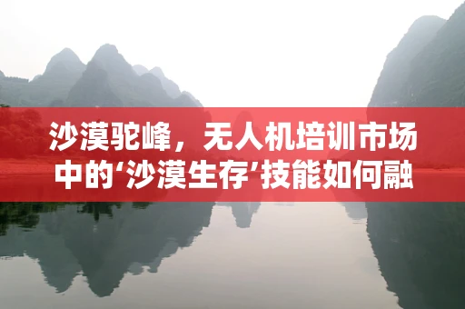 沙漠驼峰，无人机培训市场中的‘沙漠生存’技能如何融入？
