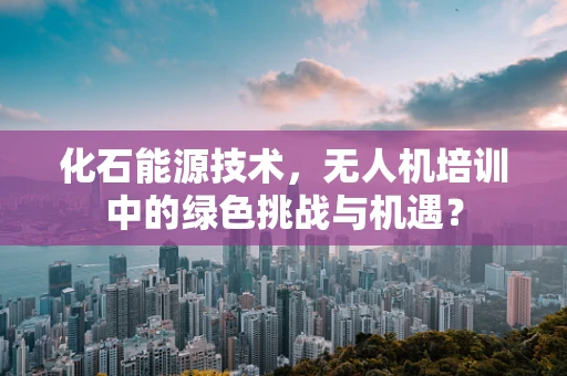 化石能源技术，无人机培训中的绿色挑战与机遇？