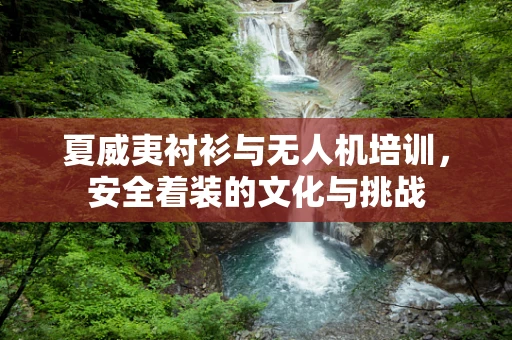 夏威夷衬衫与无人机培训，安全着装的文化与挑战
