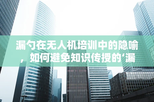 漏勺在无人机培训中的隐喻，如何避免知识传授的‘漏洞’？