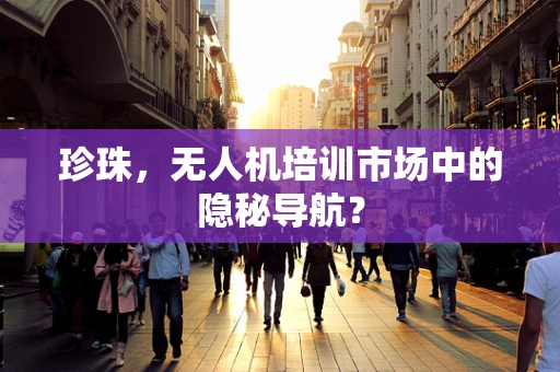 珍珠，无人机培训市场中的隐秘导航？