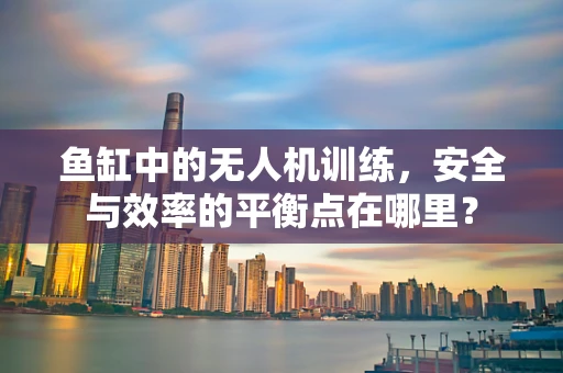 鱼缸中的无人机训练，安全与效率的平衡点在哪里？