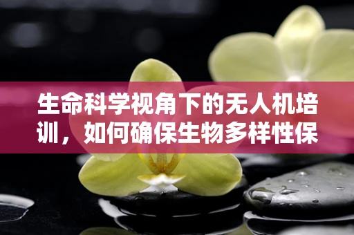 生命科学视角下的无人机培训，如何确保生物多样性保护中的安全与精准？