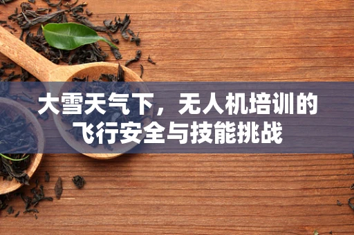 大雪天气下，无人机培训的飞行安全与技能挑战