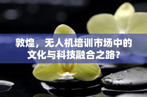 敦煌，无人机培训市场中的文化与科技融合之路？