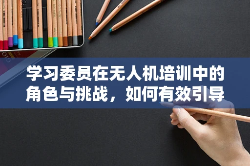 学习委员在无人机培训中的角色与挑战，如何有效引导团队学习？