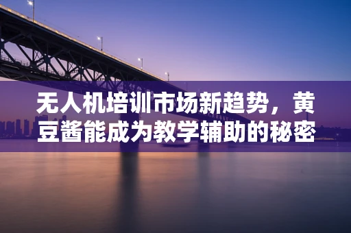 无人机培训市场新趋势，黄豆酱能成为教学辅助的秘密武器吗？