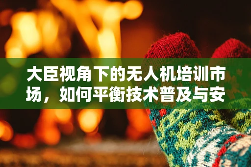 大臣视角下的无人机培训市场，如何平衡技术普及与安全监管？