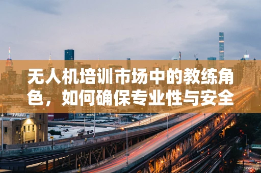 无人机培训市场中的教练角色，如何确保专业性与安全性？