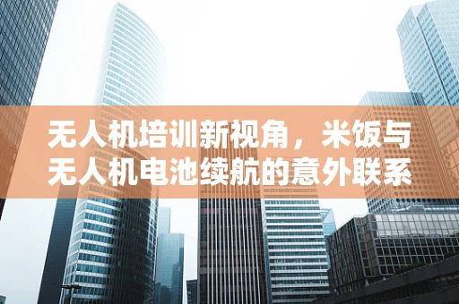 无人机培训新视角，米饭与无人机电池续航的意外联系？