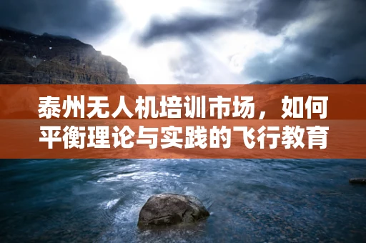 泰州无人机培训市场，如何平衡理论与实践的飞行教育？