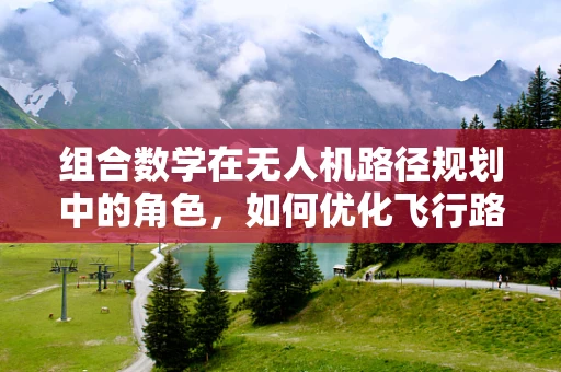 组合数学在无人机路径规划中的角色，如何优化飞行路径？