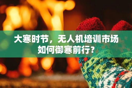 大寒时节，无人机培训市场如何御寒前行？