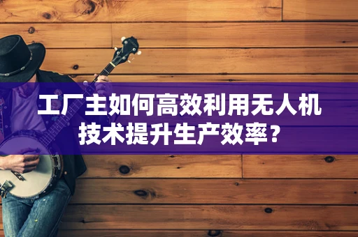 工厂主如何高效利用无人机技术提升生产效率？