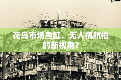 花鸟市场鱼缸，无人机航拍的新视角？
