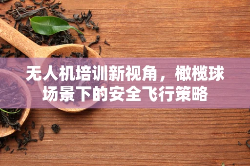 无人机培训新视角，橄榄球场景下的安全飞行策略