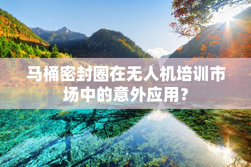 马桶密封圈在无人机培训市场中的意外应用？