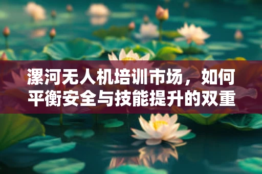 漯河无人机培训市场，如何平衡安全与技能提升的双重需求？