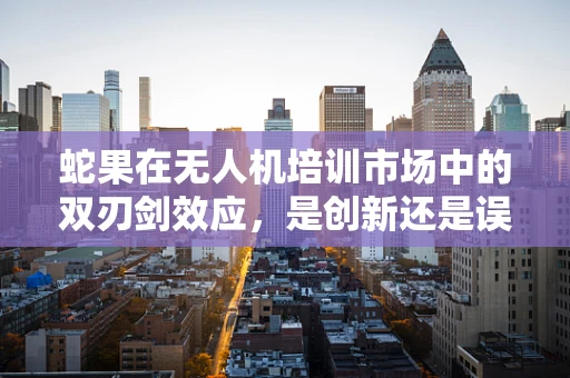 蛇果在无人机培训市场中的双刃剑效应，是创新还是误导？