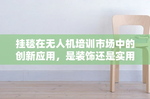 挂毯在无人机培训市场中的创新应用，是装饰还是实用？