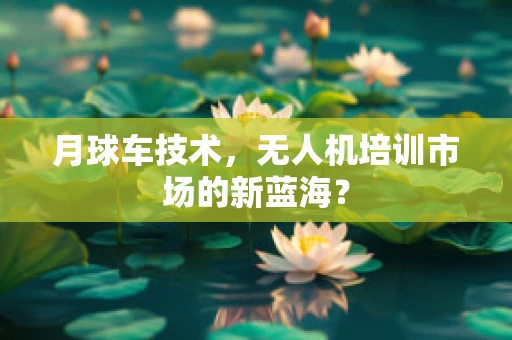 月球车技术，无人机培训市场的新蓝海？