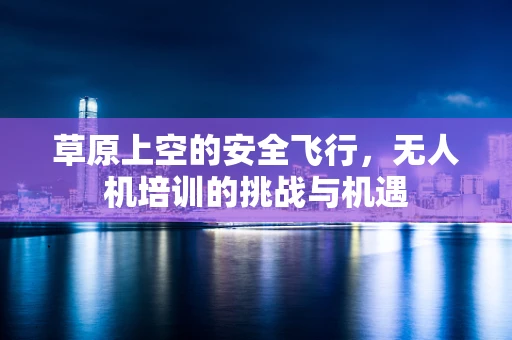 草原上空的安全飞行，无人机培训的挑战与机遇