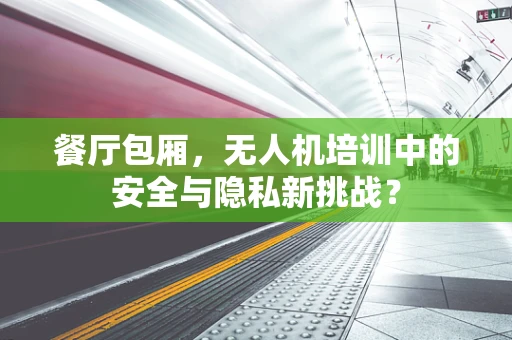 餐厅包厢，无人机培训中的安全与隐私新挑战？