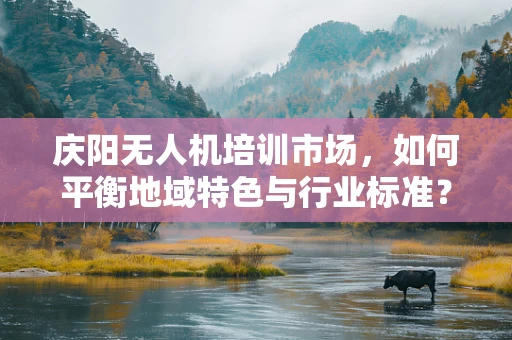 庆阳无人机培训市场，如何平衡地域特色与行业标准？