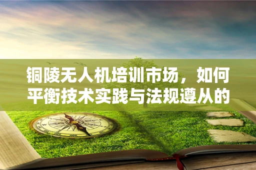 铜陵无人机培训市场，如何平衡技术实践与法规遵从的挑战？
