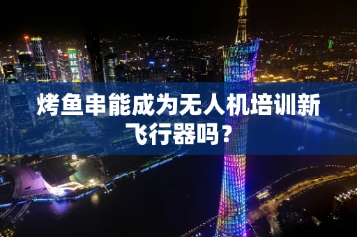 烤鱼串能成为无人机培训新飞行器吗？