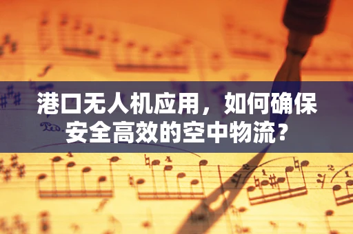 港口无人机应用，如何确保安全高效的空中物流？