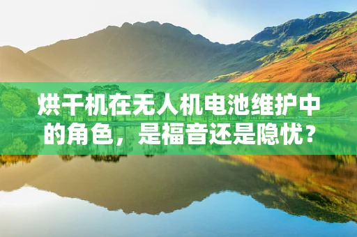 烘干机在无人机电池维护中的角色，是福音还是隐忧？