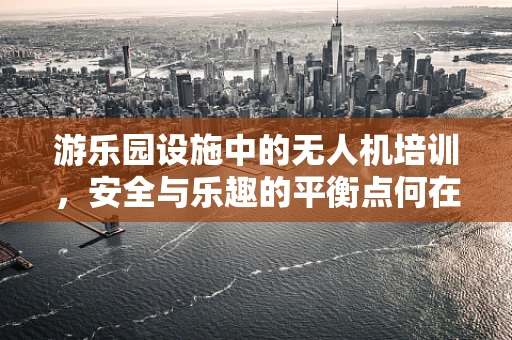 游乐园设施中的无人机培训，安全与乐趣的平衡点何在？