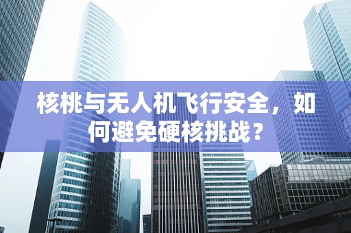 核桃与无人机飞行安全，如何避免硬核挑战？