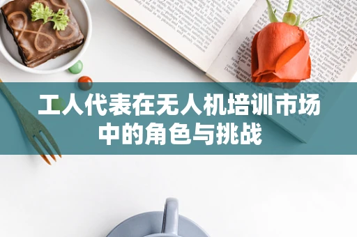 工人代表在无人机培训市场中的角色与挑战