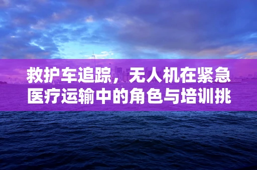 救护车追踪，无人机在紧急医疗运输中的角色与培训挑战