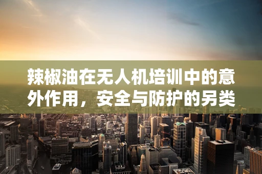 辣椒油在无人机培训中的意外作用，安全与防护的另类思考？