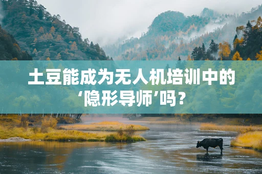 土豆能成为无人机培训中的‘隐形导师’吗？